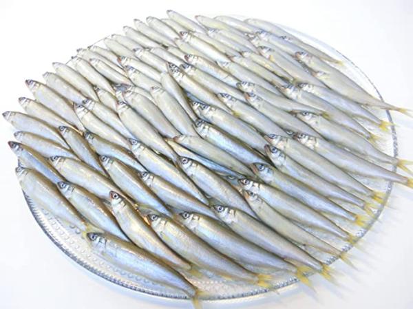 小あゆ　5/10cm　1kg　小鮎　稚鮎　国産　ばら売り