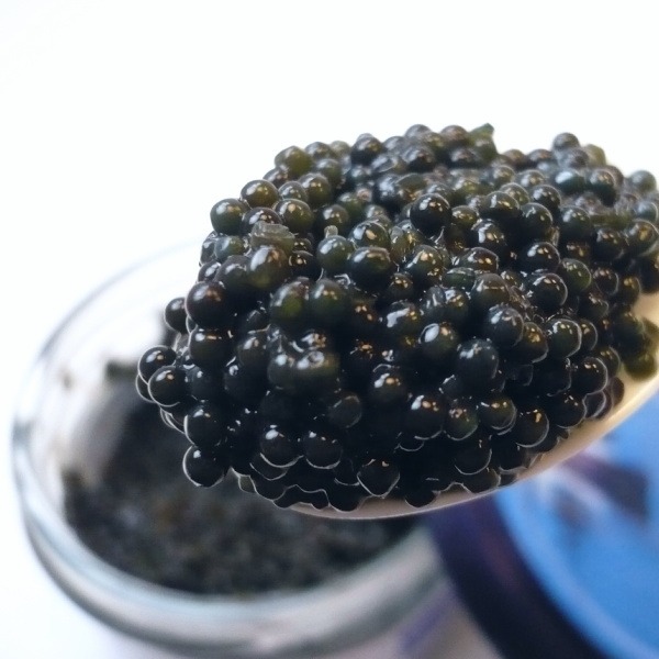 ランプフィッシュ　キャビア　150g　(50gx3個)　ドイツ産