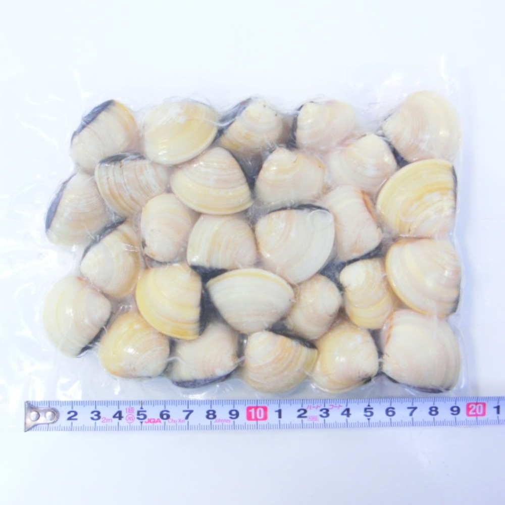 殻付　はまぐり　1kg　Mサイズ　500gx2P　約20/30個　ばら売り　