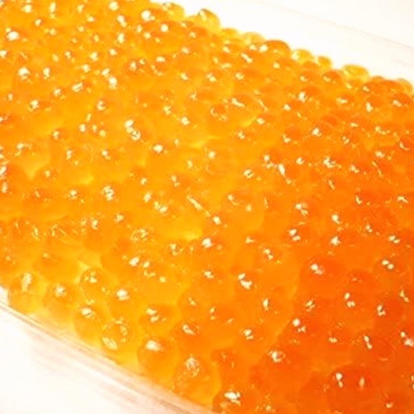 北海道産　イクラ醤油漬け　500g　鮭子　ササヤ　いくら
