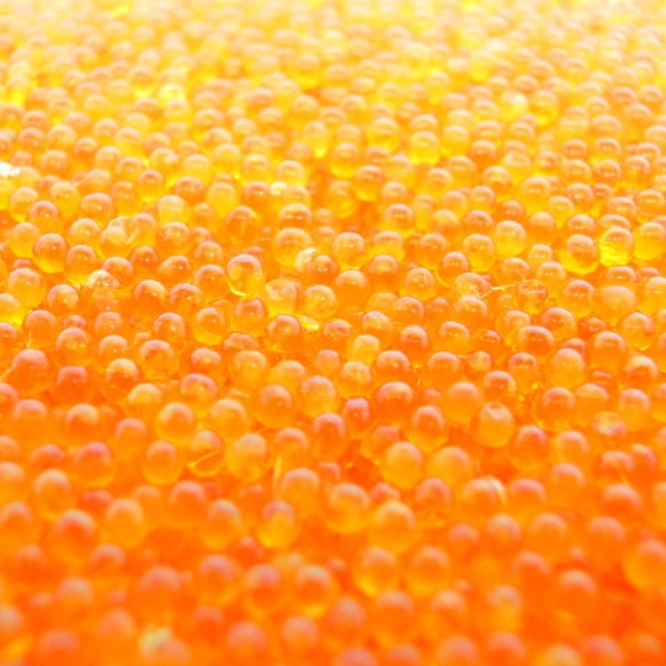 とびっ子　オレンジ　500ｇ　業務用　ばら売り　トビ子　味付