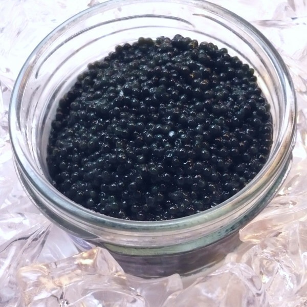 ランプフィッシュ　キャビア　150g　(50gx3個)　ドイツ産