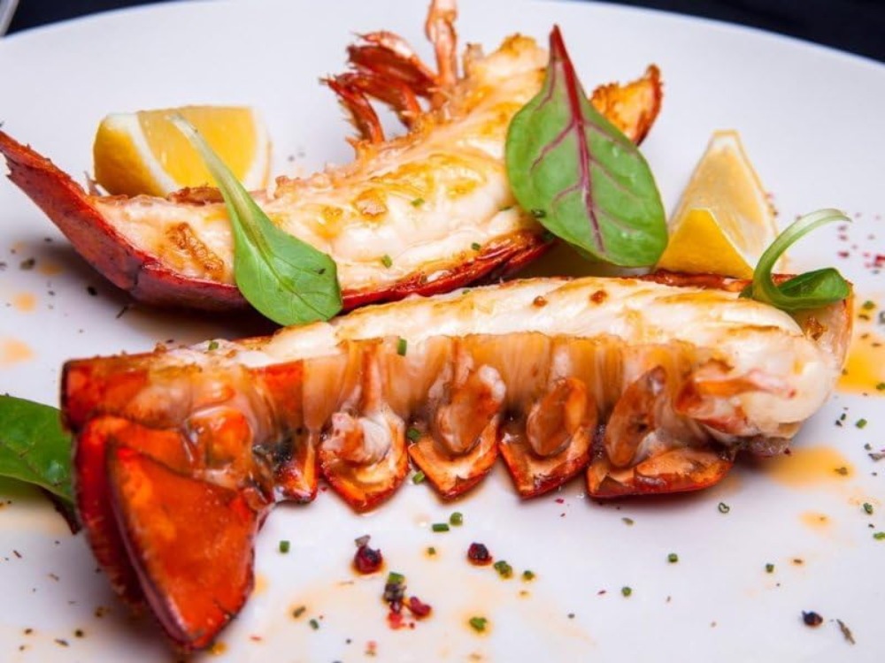 ブルーオマール　約500g前後　ホール　冷凍　数量限定