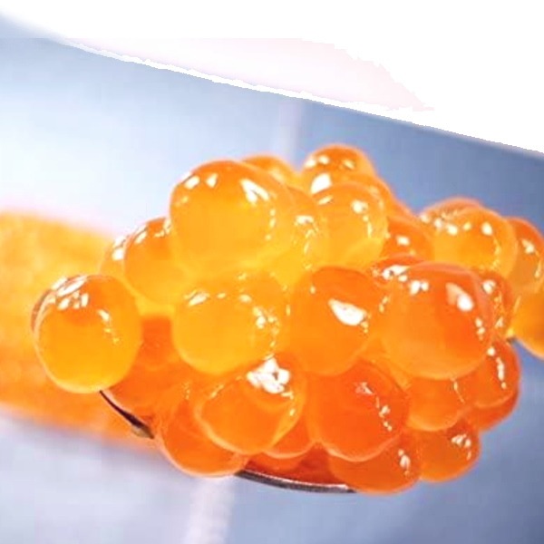 北海道産　イクラ醤油漬け　500g　鮭子　ササヤ　いくら