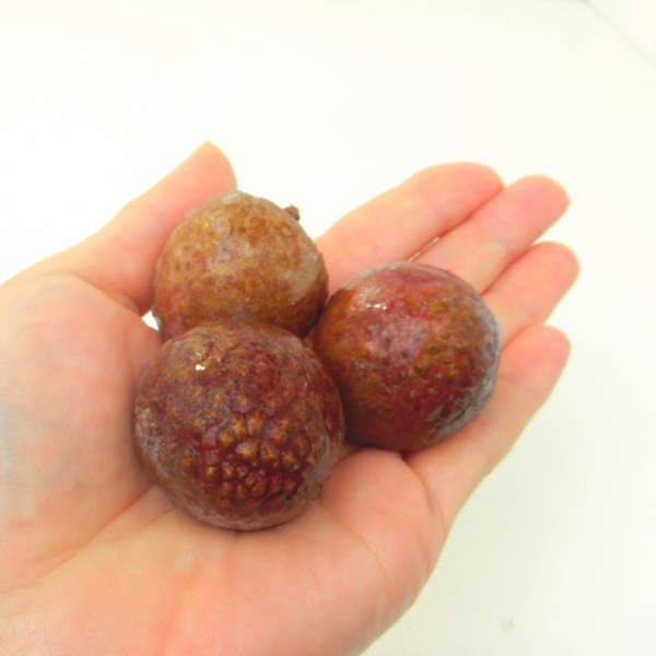 ライチ　果実　皮付き　500g　バラ販売　IQFバラ凍結　果物