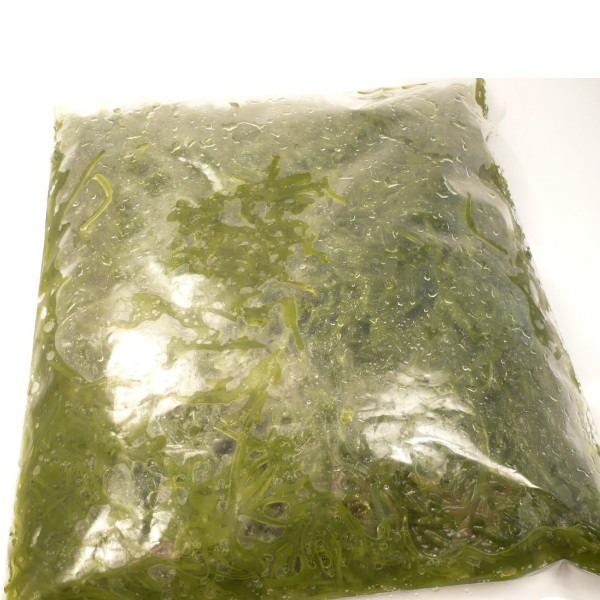 湯通し　めかぶ　1kg　切りメカブ　色出し済み　ばら売り