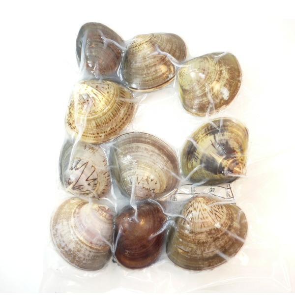 殻付　はまぐり　L　サイズ　500g　約10/15個　ばら売り　