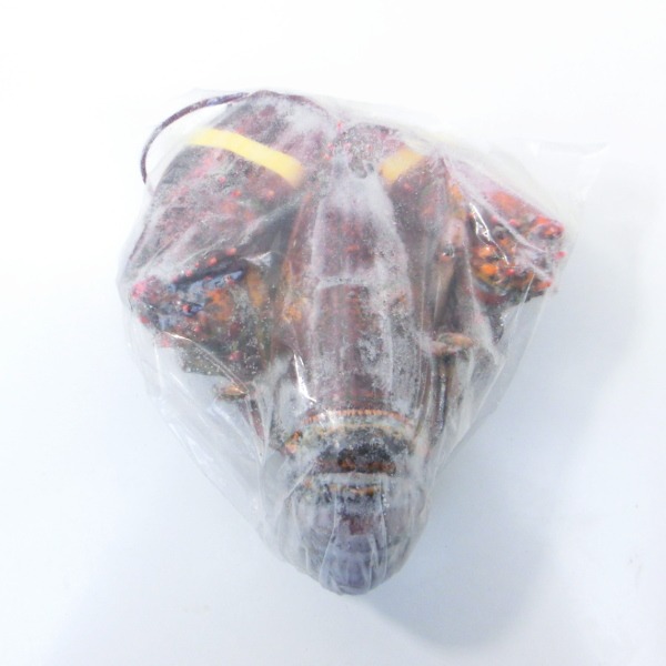 オマール海老　ホール　冷凍　400g-600gサイズ　バラ売り