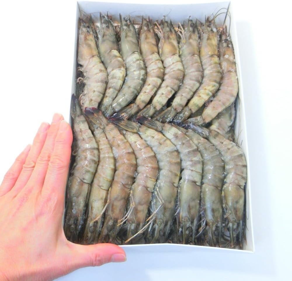 マダガスルージュ　プレミアム　生食可能　35/40