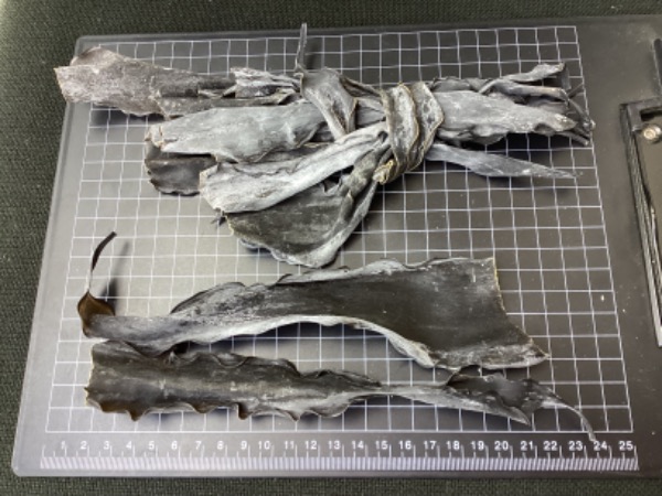 釧路産長頭昆布　混載OK