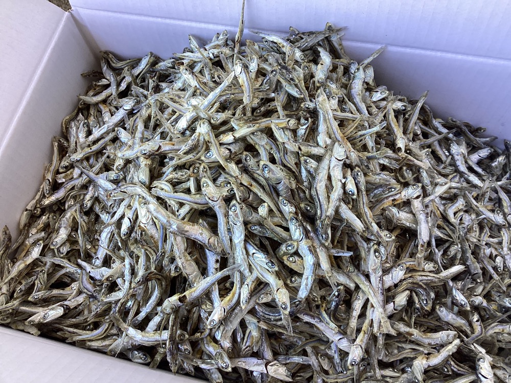 瀬戸内産　特上白片口煮干（白口いわし・煮干し・いりこ）