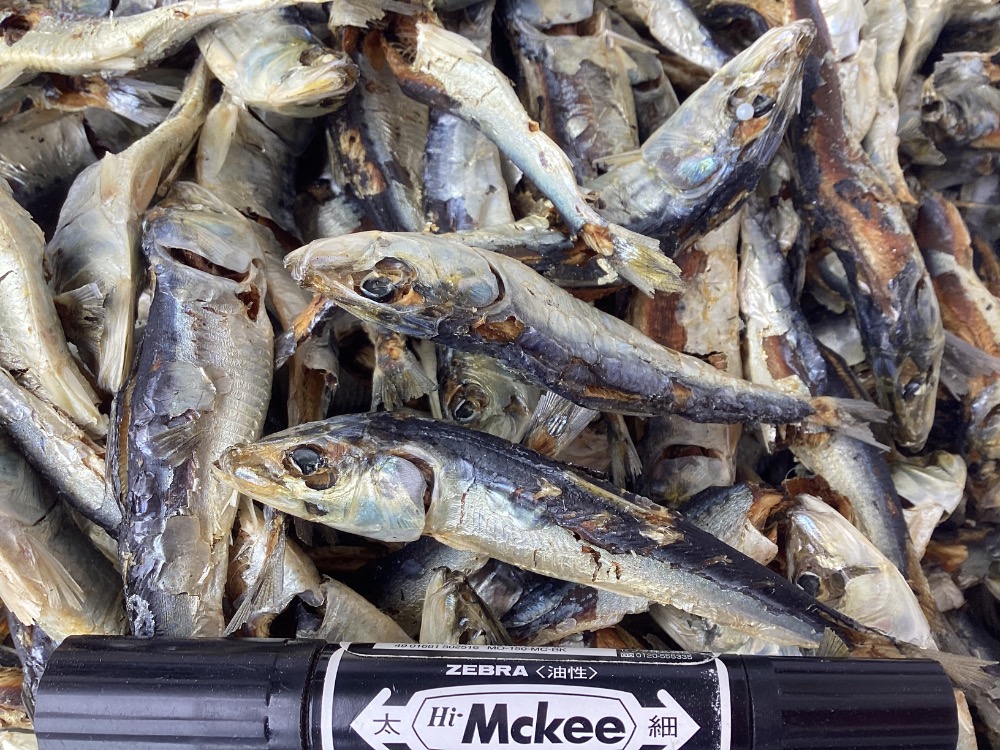 鬼安中トロ油茨城大津産平子煮干（真いわし・煮干し・いりこ）