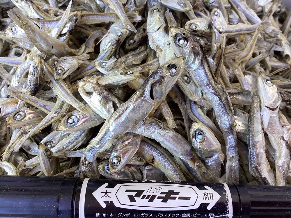 瀬戸内産　特上白片口煮干（白口いわし・煮干し・いりこ）