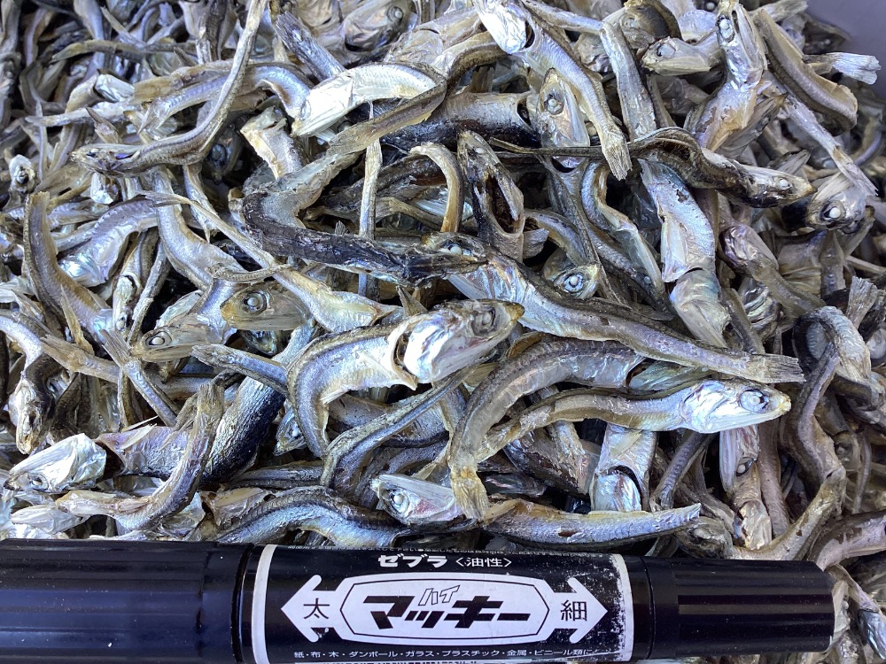 大津産　特上白口煮干（白口いわし・煮干し・いりこ）