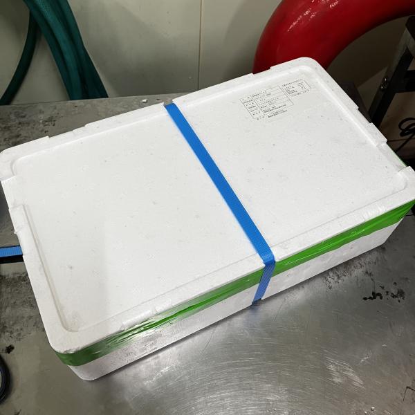 国産キハダマグロ　タタキ（炙り）　3kg　9節前後