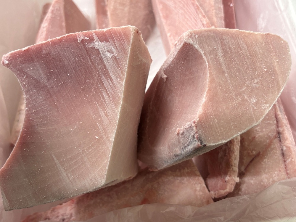 静岡産　ビンチョウ　ロイン　5kg　骨・皮・血合い取り