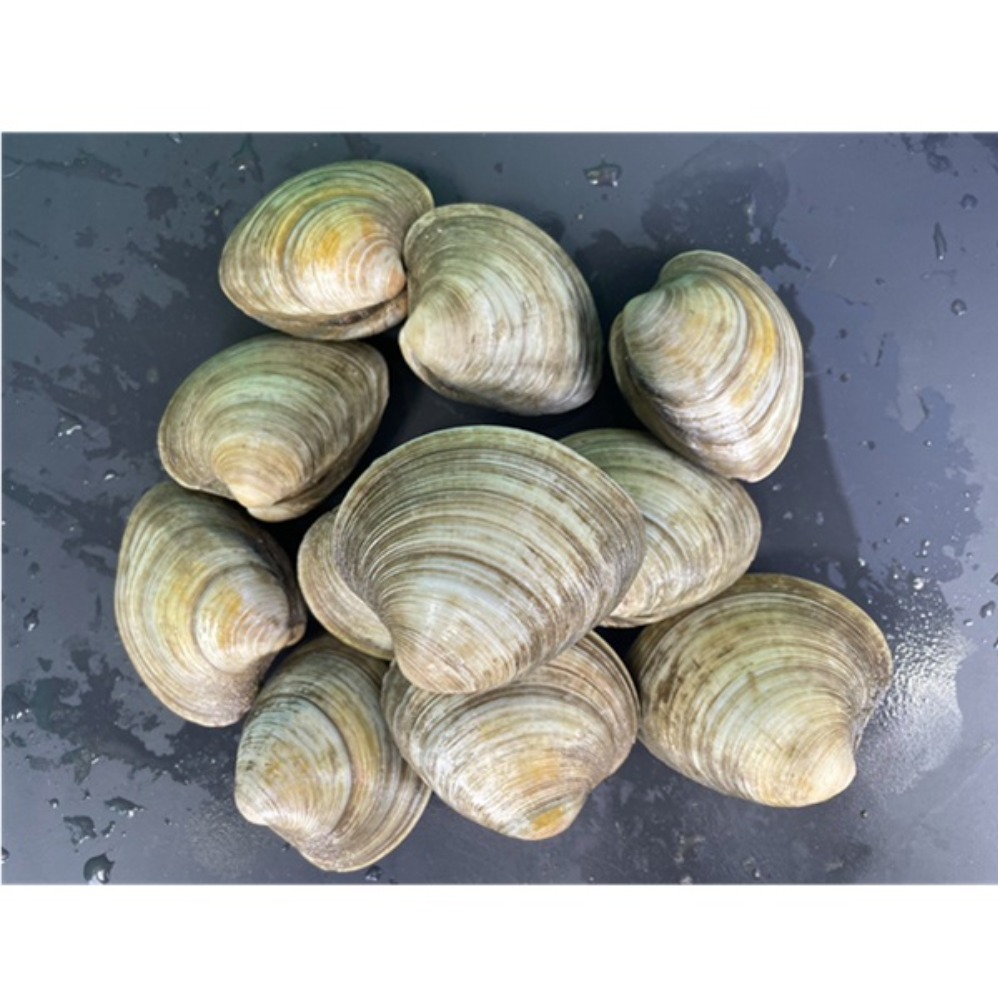 �y�����ʁz�y��t���Y�z���z���r�m�X�L�@1��50g〜80g(13kg)