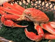 �X�܎ʐ^�E���S