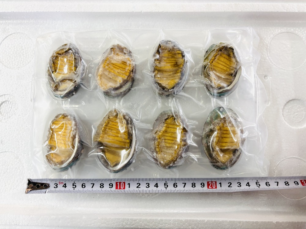 お造りあわび　鮑　Mサイズ（約27g/個）