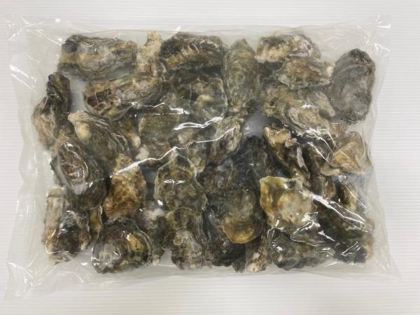 【広島県産】生食用　冷凍殻付かき【広島】40個　85g~109g/個