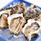 �X�܎ʐ^�E���S