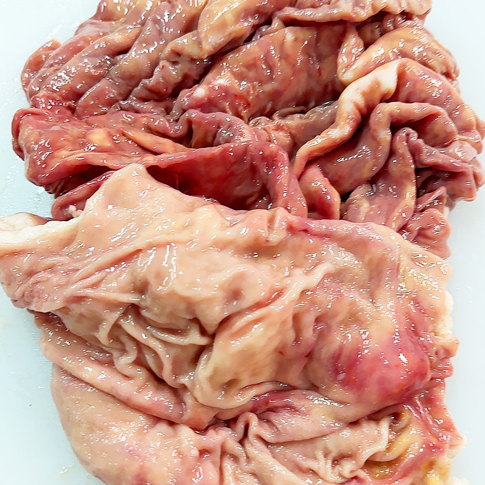 �y�����ʁz�j�{���o�ׁ@��B�Y���јa���@�Ԑ疇