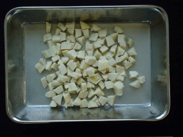 筍水煮(たけのこ・竹の子)　乱切8-10ｇ　1Kg/10