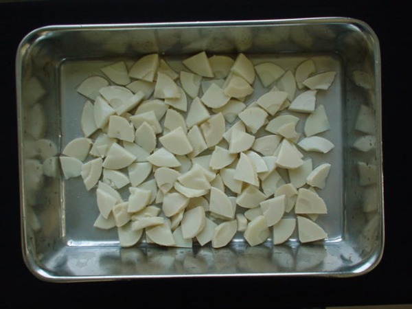 筍水煮(たけのこ・竹の子)　銀杏切45（いちょうぎり）　18L缶