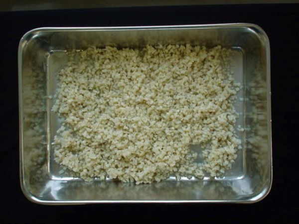 筍水煮(たけのこ・竹の子)　5ミリダイス　