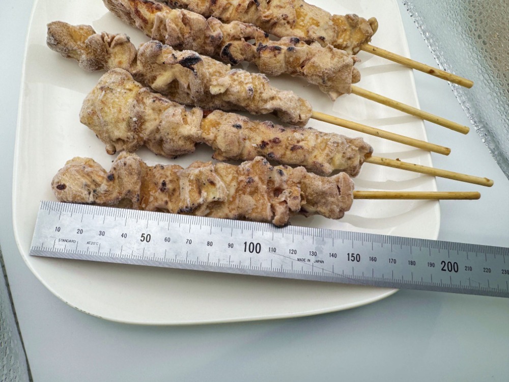 【送料込み】炭火焼鳥モモ串55g　