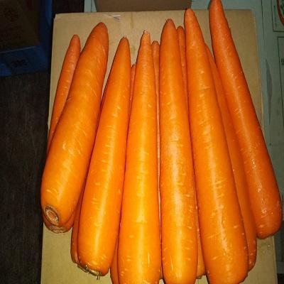 �Ȗ،��@�l�Q�A���}���b�h�@2L�T�C�Y