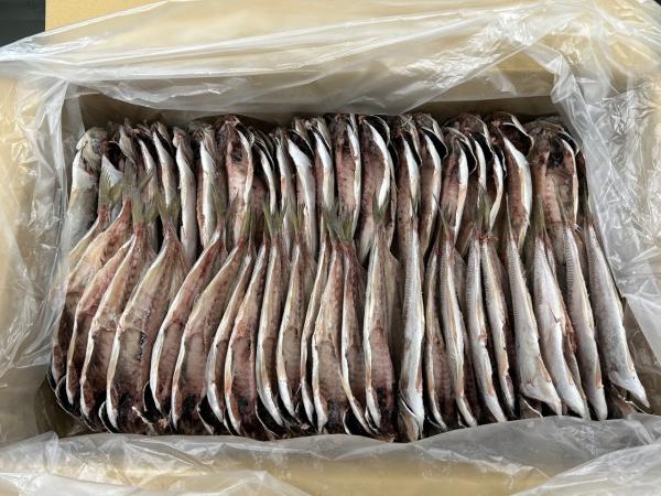 沼津銘産品　あじ干物(約130g)　25枚入　ひもの　真鯵開き　