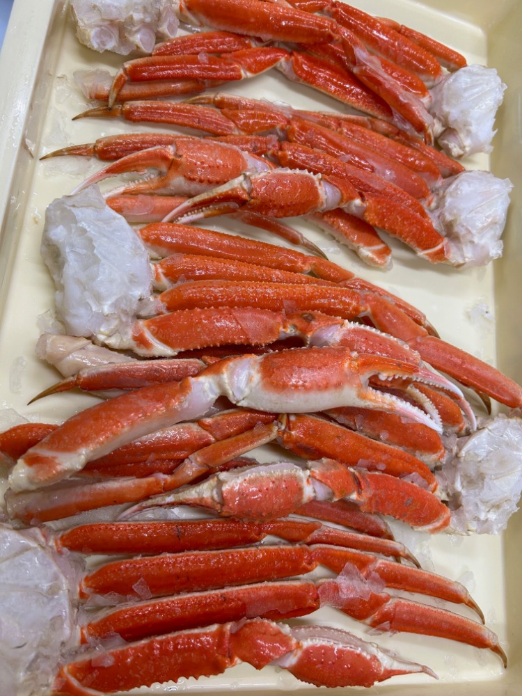 ＜特大！＞ボイルズワイガニ　5Lサイズ　2kg化粧箱　新物　カニ