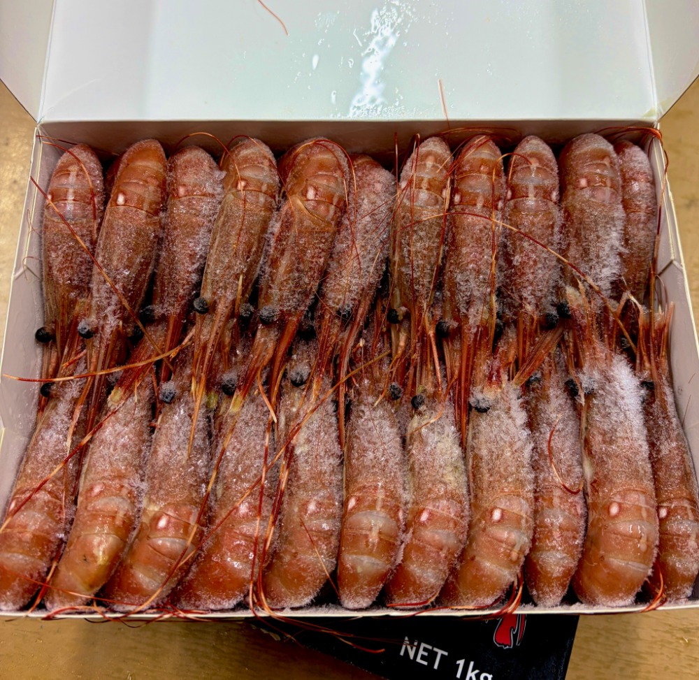 大人気！カナダ産ボタンエビ　Mサイズ　刺身用　ぼたん海老