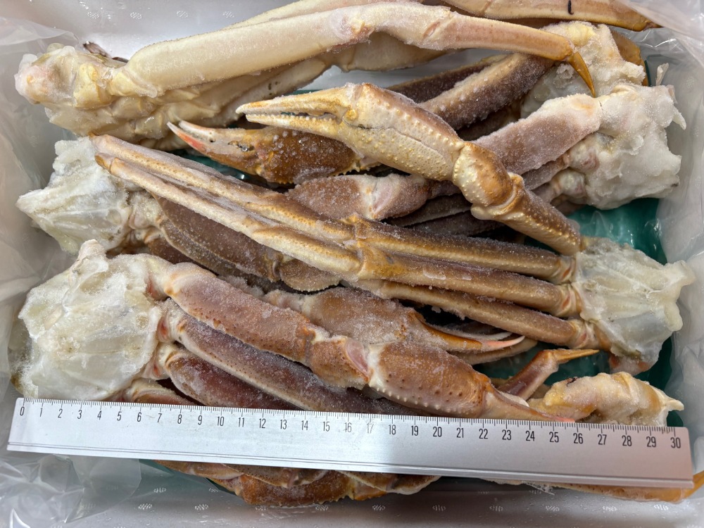 冷凍　生　ズワイカニ　ポーション　2.5kg　