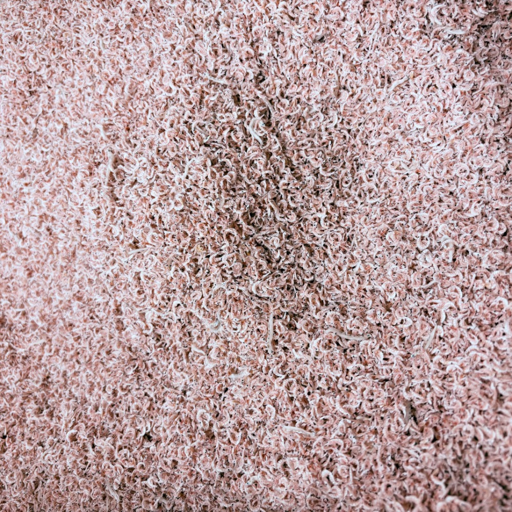 新物　えびちりめん　４kg　兵庫県産　ほとんどエビ