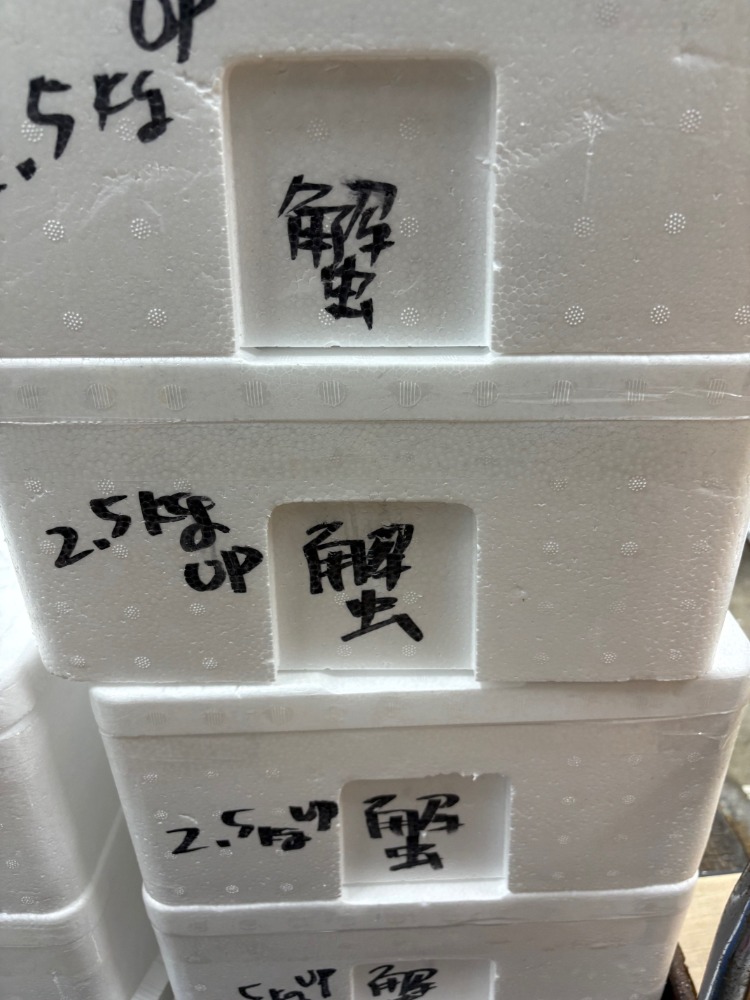 冷凍　生　ズワイカニ　ポーション　2.5kg　