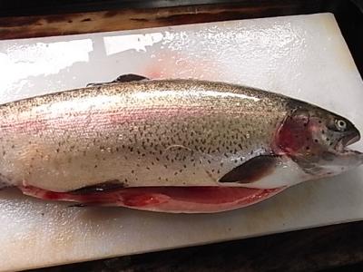 �y���˂���z�k�C���Y���h�i���h�T�[����(�j�W�}�X)�y�N���z