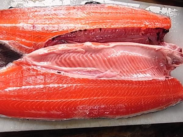 【かねしん】北海道産生ドナルドサーモン(ニジマス)【鮮魚】