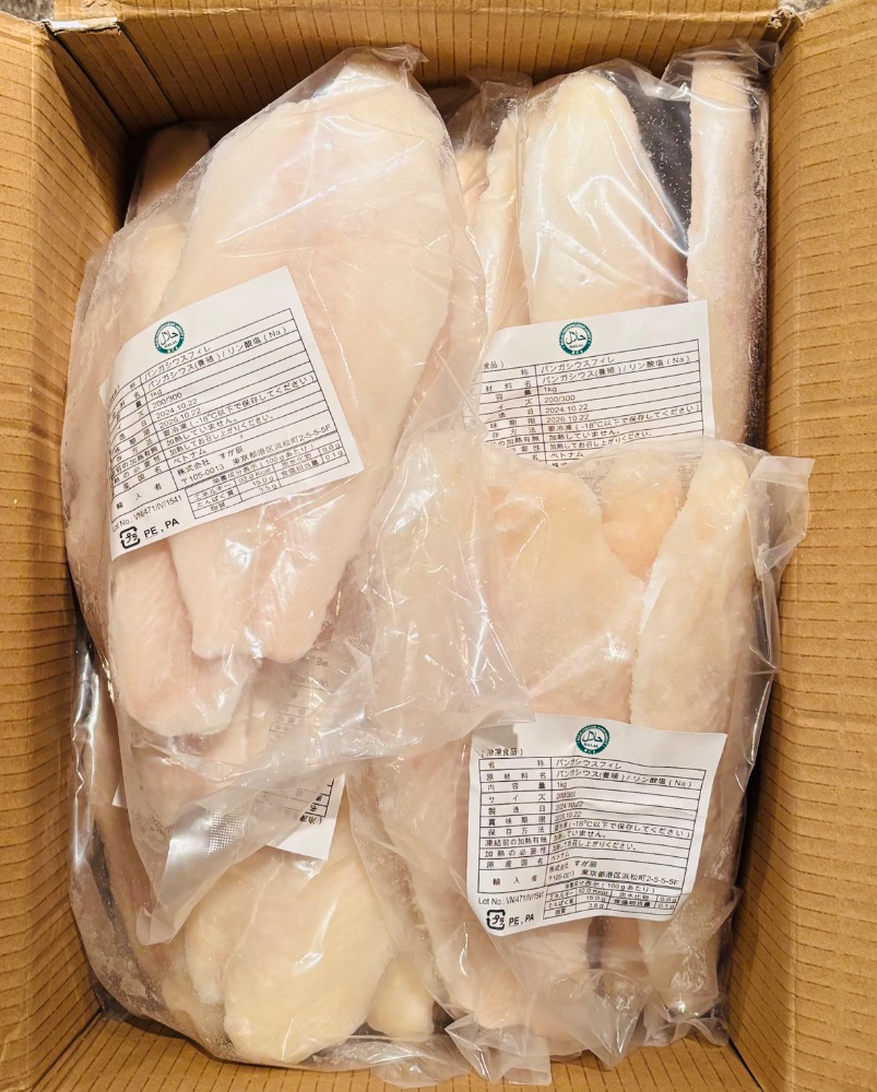 パンガシウスフィレ　200/300