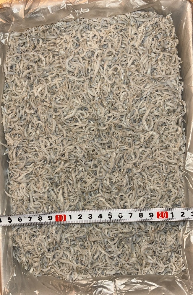 愛知県産　小筋しらす干し　