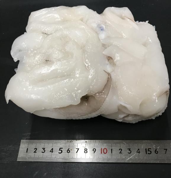 紋甲イカげそ(下足)　サイズ2/4