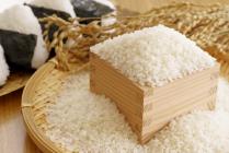 �X�܎ʐ^�E���S