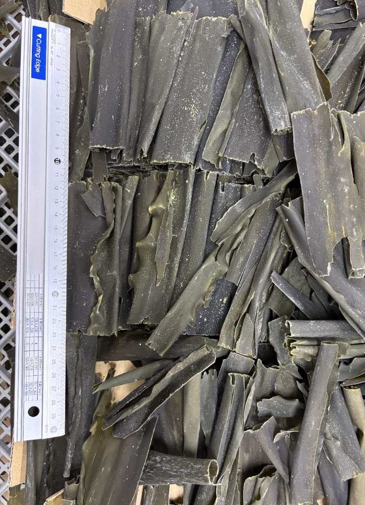 カットだし昆布（道南　白口浜産）1ｋｇ