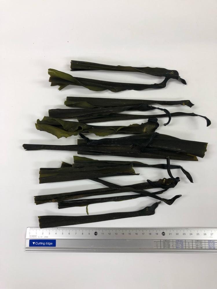 だし用根昆布（道南　白口浜産）1ｋｇ