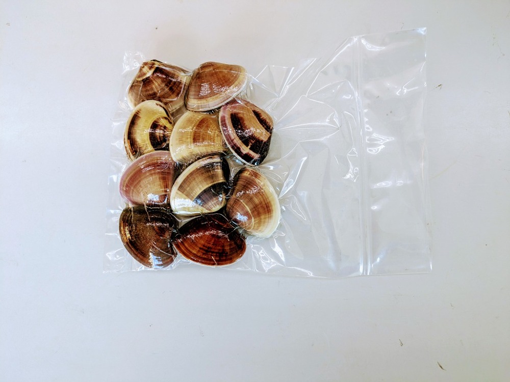 �y�����ʁz�Ⓚ���Y�n�}�O���@�L�@�^��p�b�N�@30�`60g�@500����2P���灚