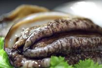 �X�܎ʐ^�E���S