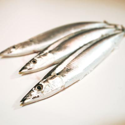 北海道産 生秋刀魚 業務用 30尾サイズ チルド