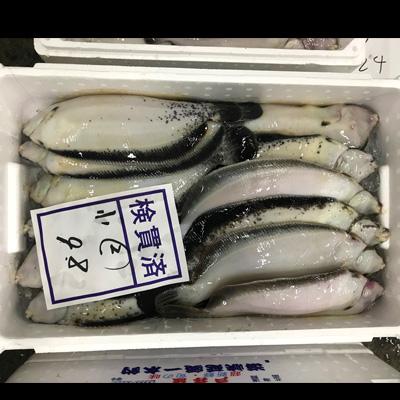 �k�C���Y�@�Ȃ߂��K���C�@�Y�@���@�`���h