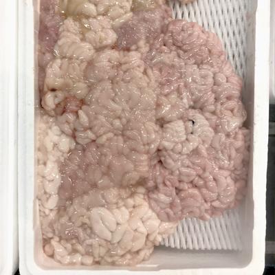 �y�����ʁz�k�C���Y�@�^�����i���q�j���@�`���h